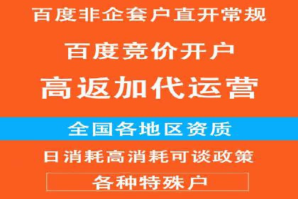 竞价排名案例：优化广告预算分配